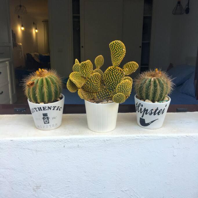 Vivienda Vacacional Cactus コスタ・テギセ エクステリア 写真